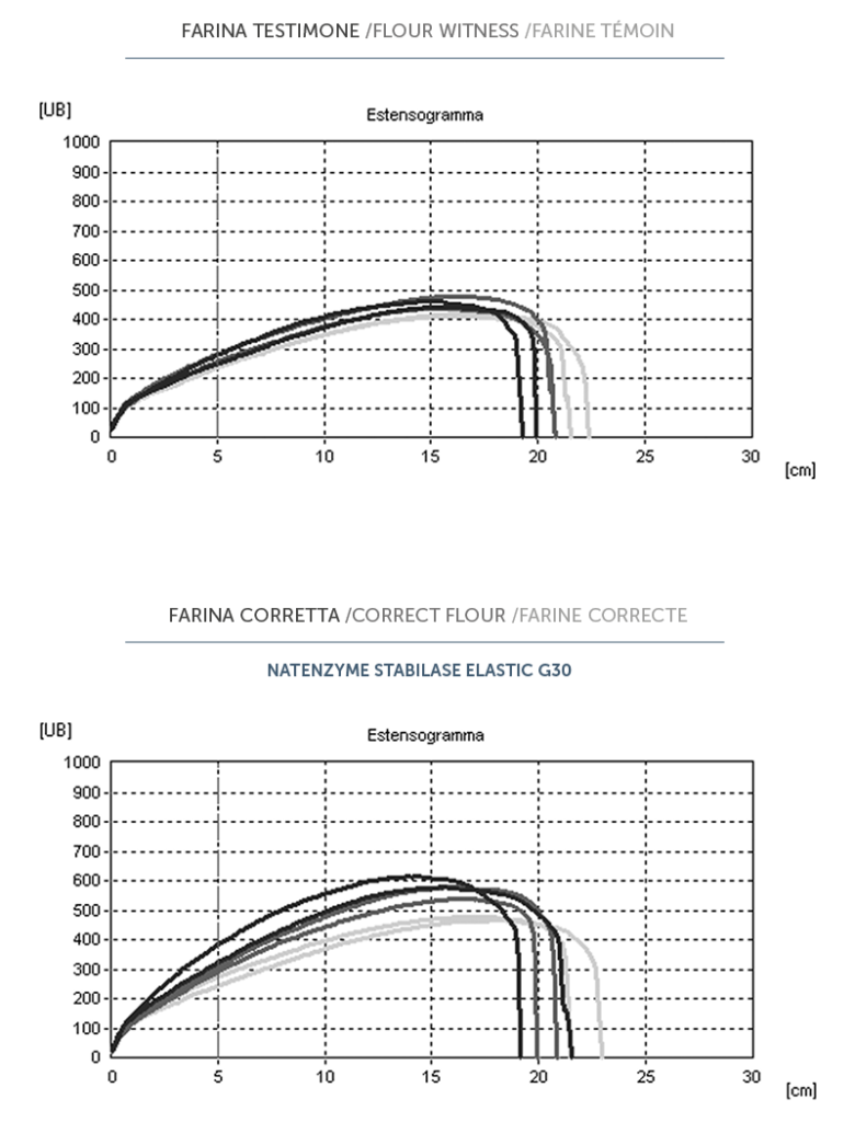 natenzyme_stabilase_elastic_g30